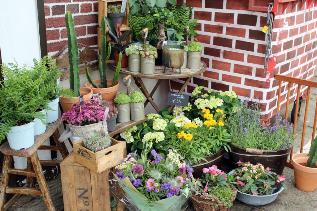 The Benefits Of Choosing A Flower Shop Over Supermarket Flowers Green