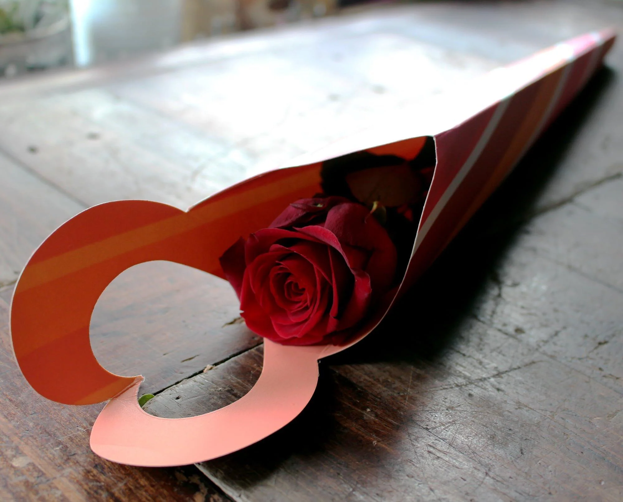 Single Red Rose - Gift Wrapped - Image 4