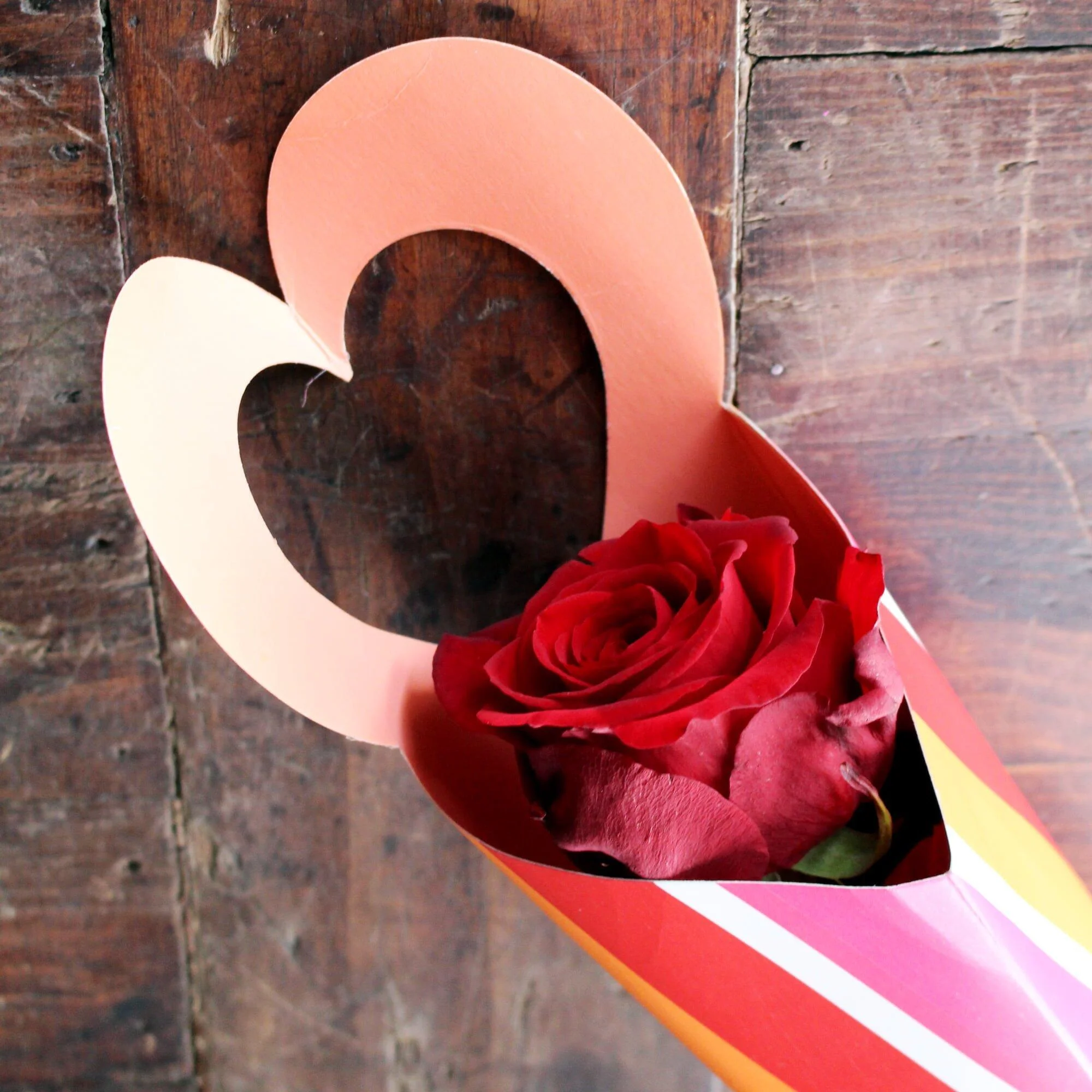 Single Red Rose - Gift Wrapped - Image 2