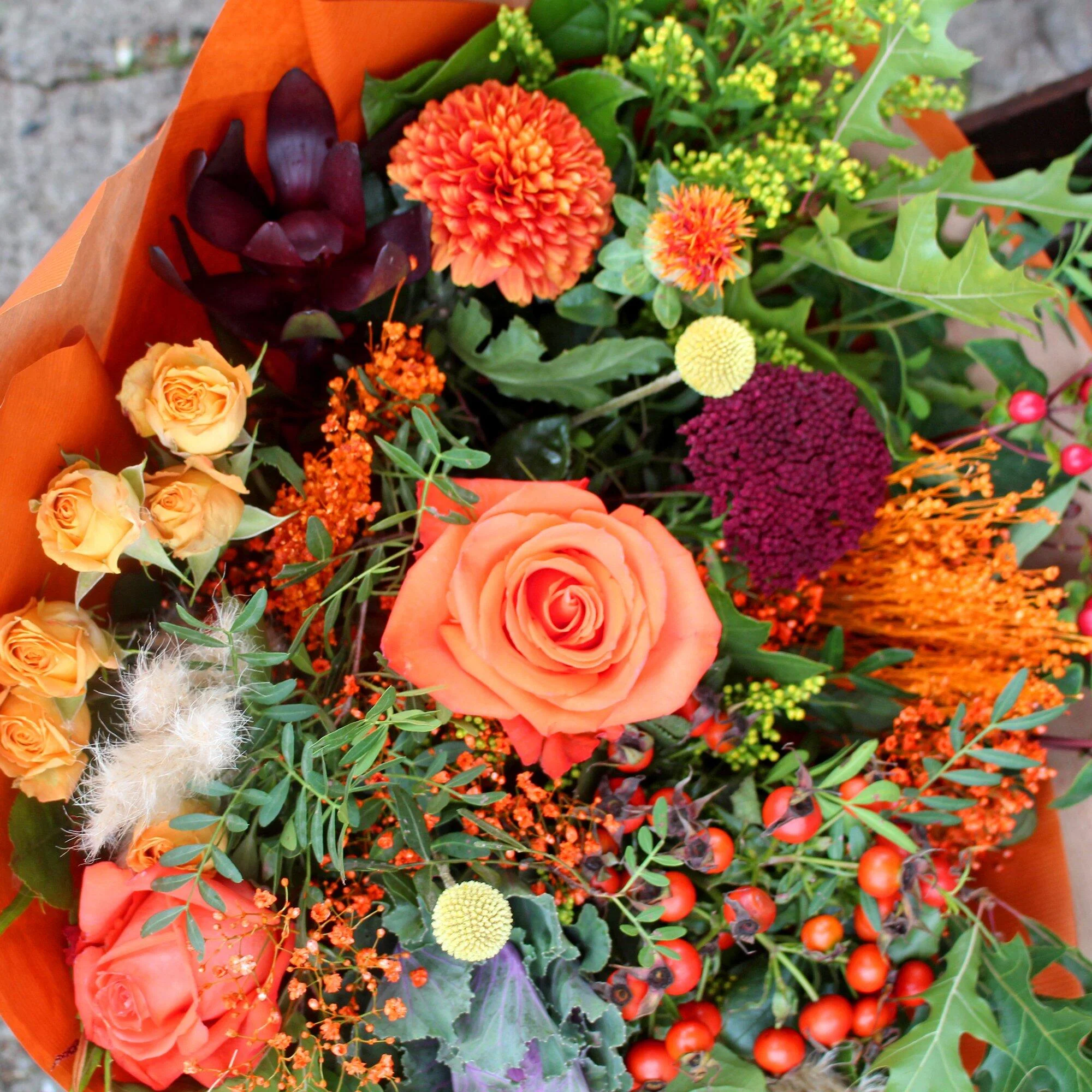 Suzie's Autumn Spirit - Image 3