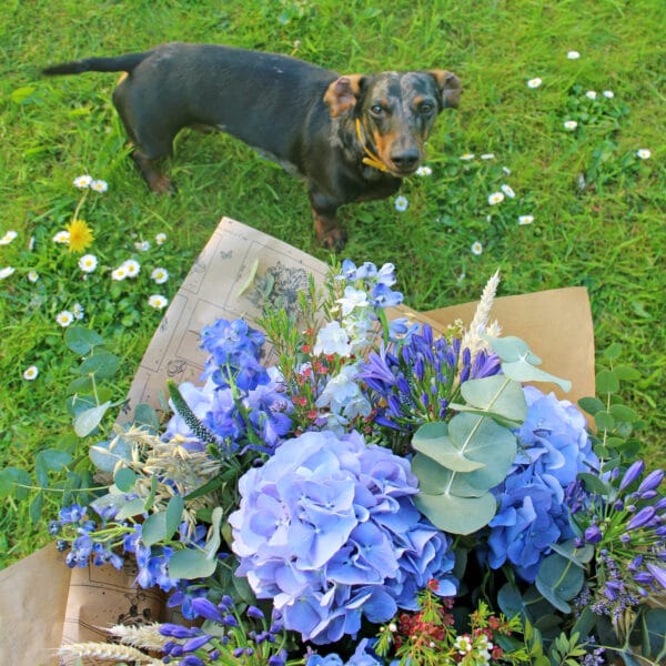 Lilla's Weekly Bouquet - Image 4
