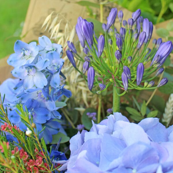 Lilla's Weekly Bouquet - Image 2