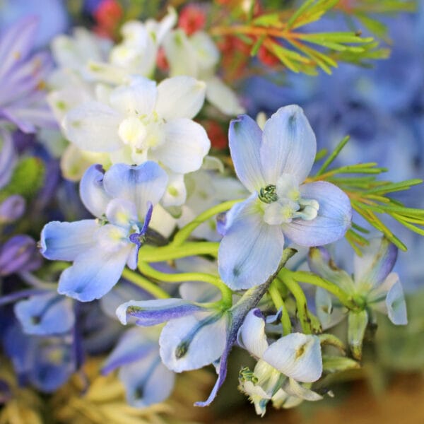 Lilla's Weekly Bouquet - Image 3
